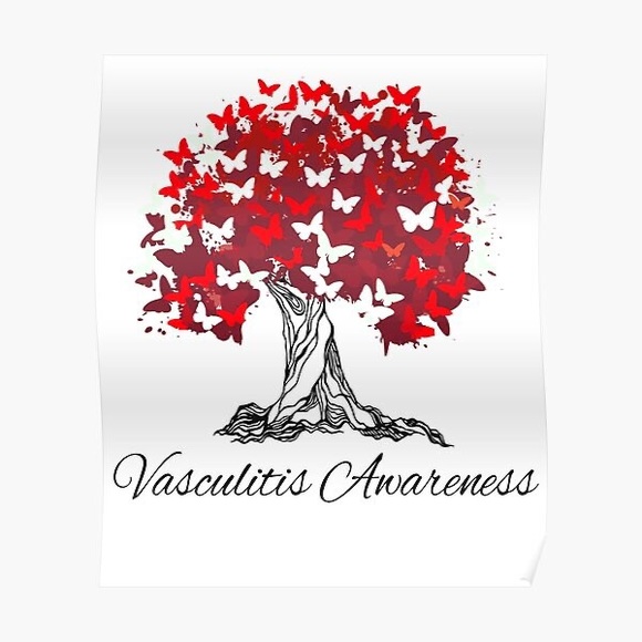 Meet your Posher, Nicky - Picture 1 of 8